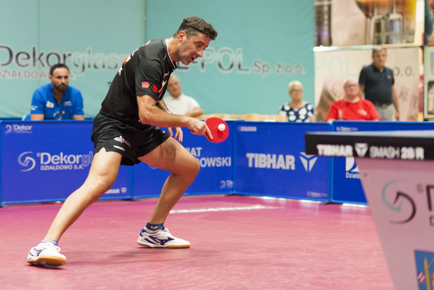 You are currently viewing LOTTO Superliga: silni u siebie, mocni na wyjazdach