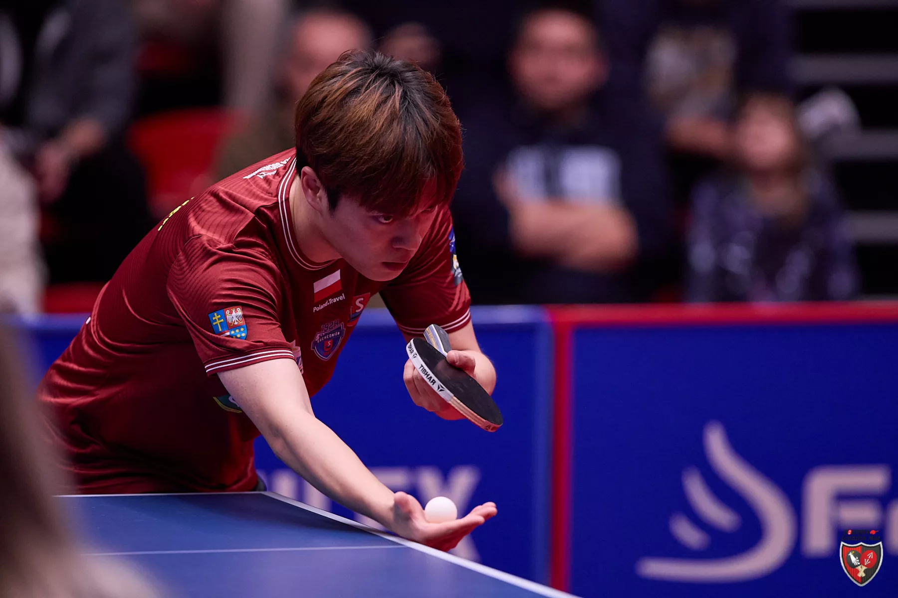 You are currently viewing Brązowy medalista Drużynowych MŚ Cho Seungmin zadebiutował w LOTTO Superlidze