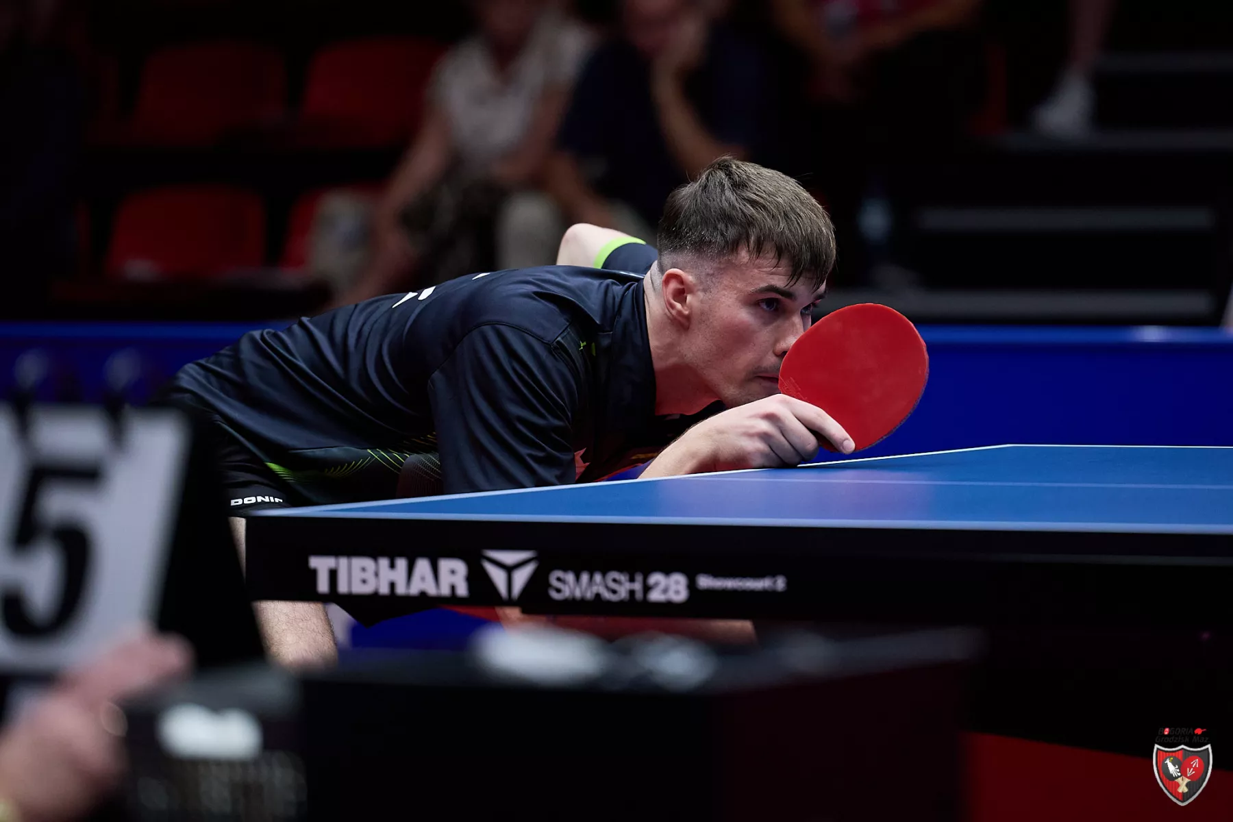 You are currently viewing LOTTO Superligi: derby Śląska z wyraźnym faworytem