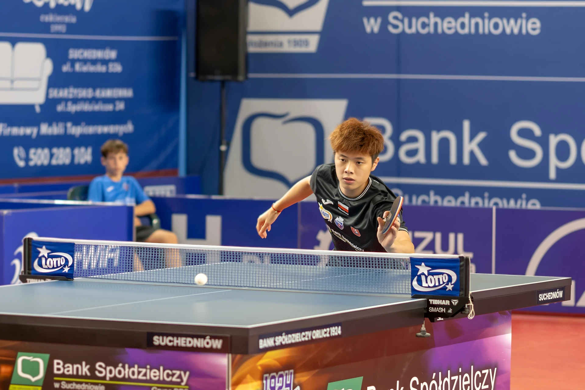 You are currently viewing Bank Spółdzielczy Orlicz 1924 ma najlepszych Azjatów w LOTTO Superlidze